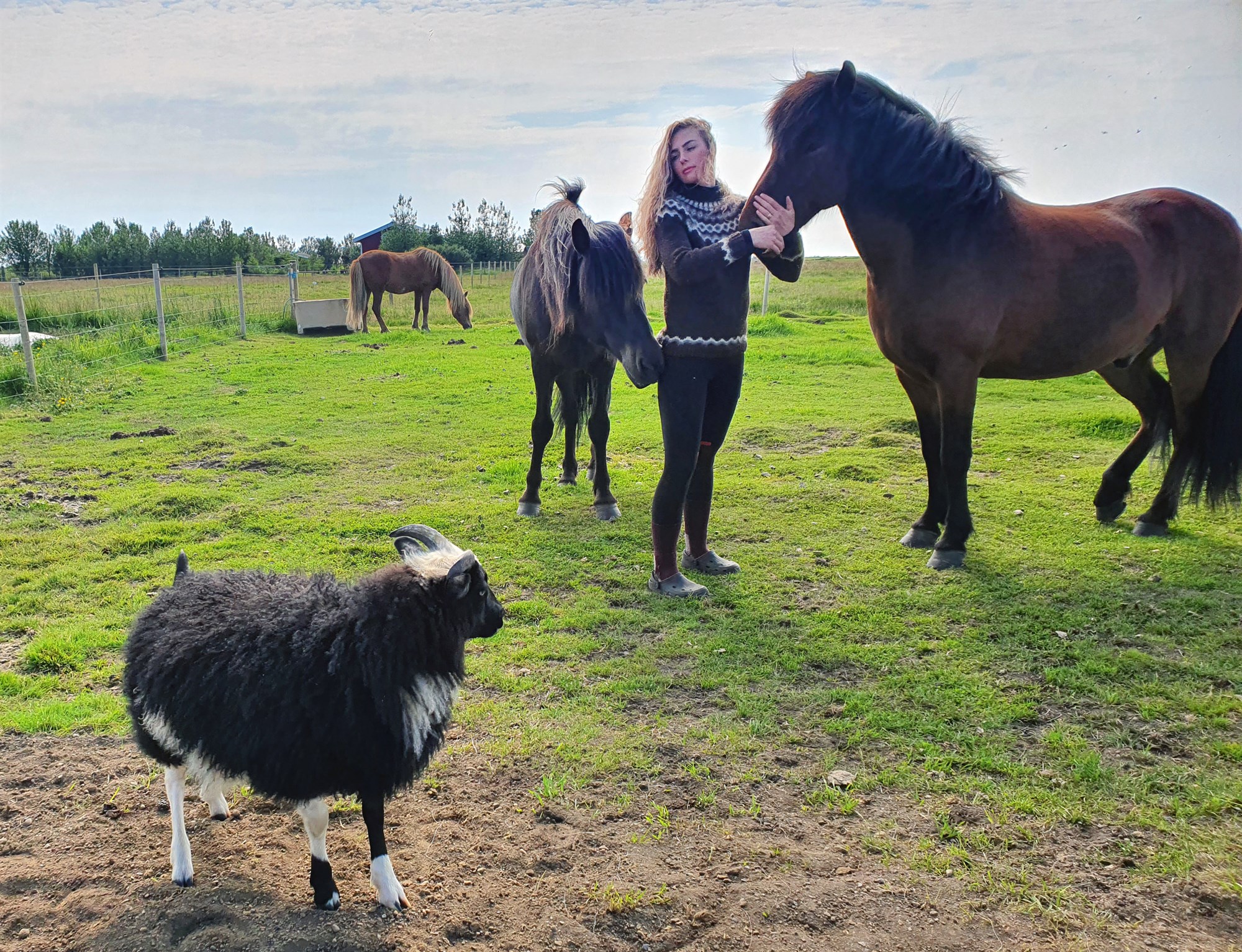 Lögfræðingur og læknir sem stunda sjálfsþurftarbúskap á Fjarkastokki við Þykkvabæ