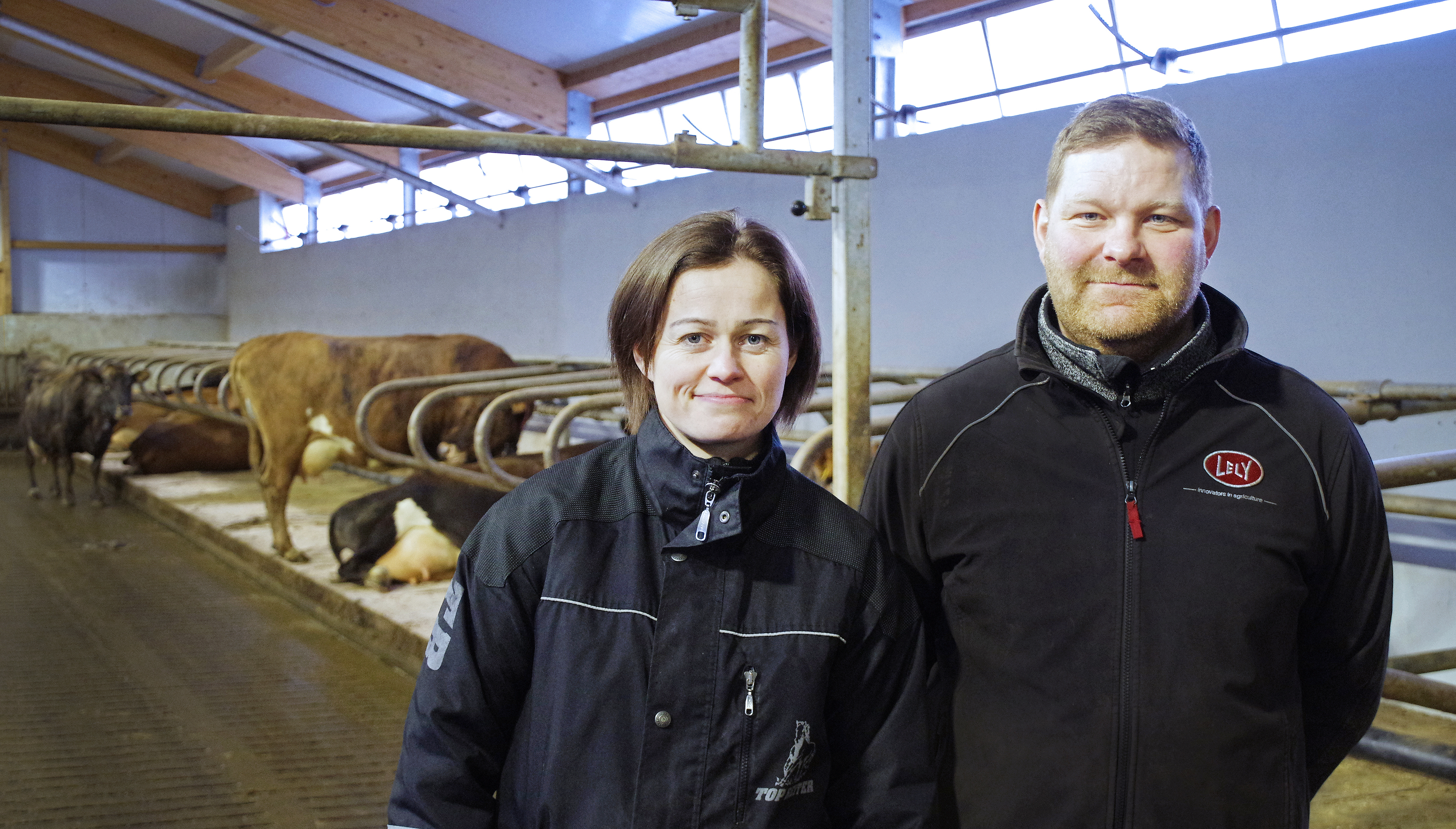 Kýrnar í afurðahæsta kúabúinu skiluðu að meðaltali um 8,7 tonnum af mjólk