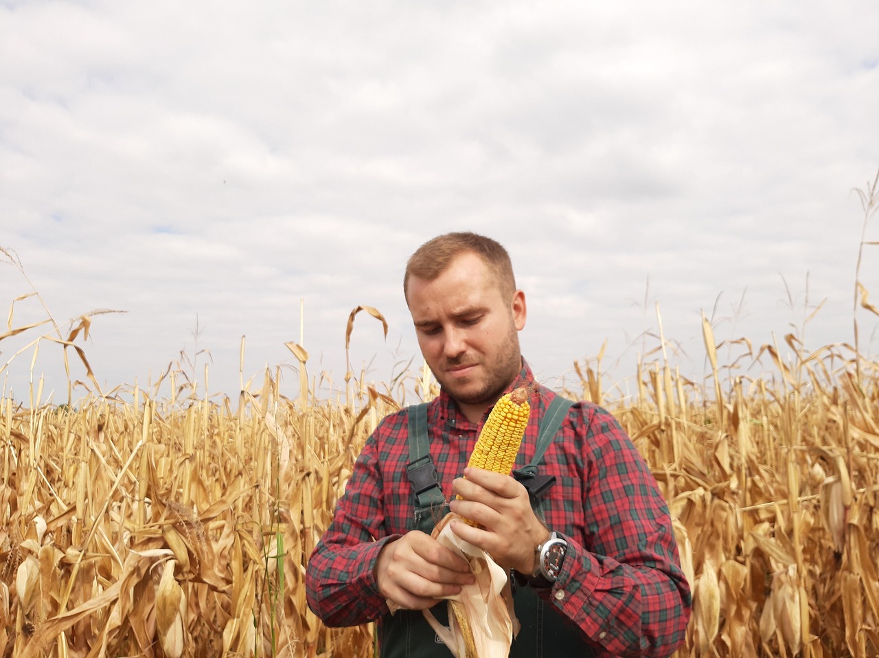 Áætlun um endurnýjun