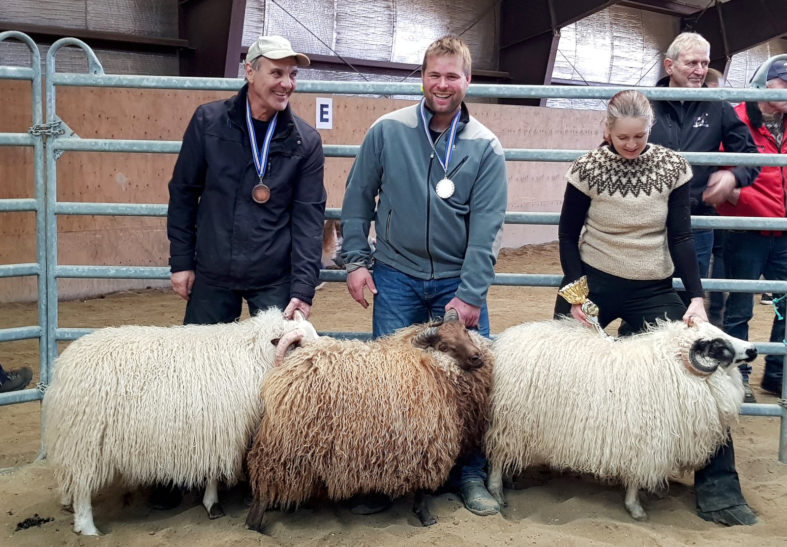 Stórskemmtileg fjárlita­sýning í Holtum