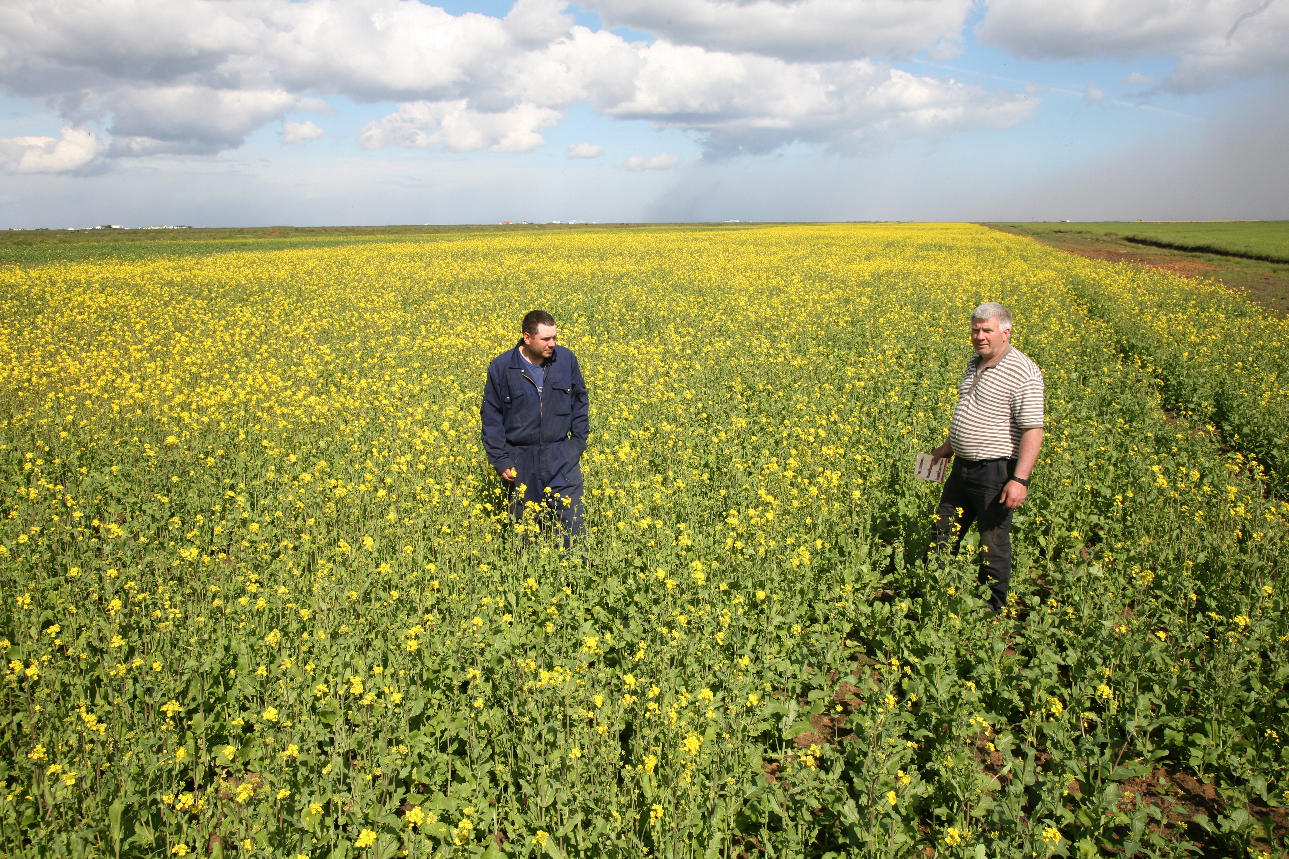 Repja til orku- og matvælaframleiðslu