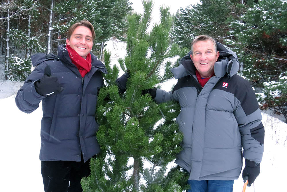 Frægasta jólafuran kom úr Laugalandsskógi