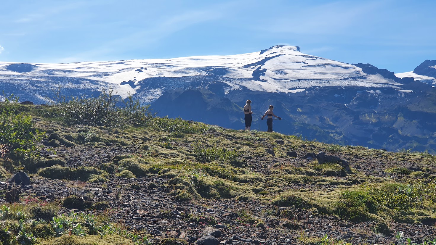 N&#225;tt&#250;rulegir birkisk&#243;gar hafa mikilv&#230;gt hlutverk