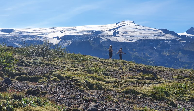 Náttúrulegir birkiskógar hafa mikilvægt hlutverk