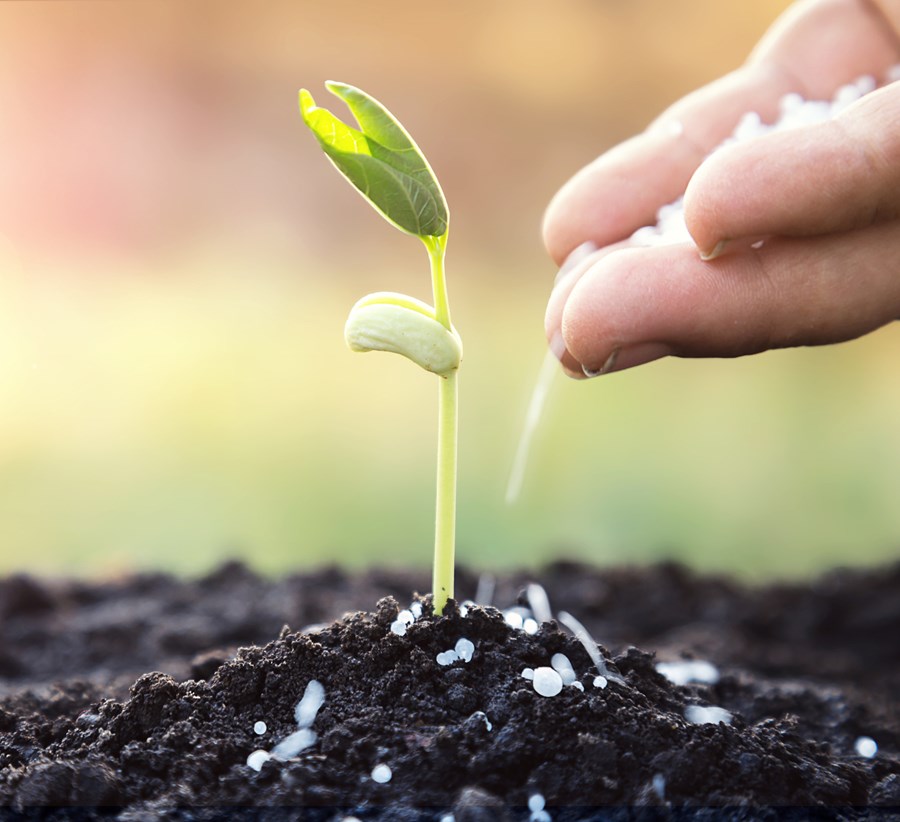 Stjórnarformaður Syngenta segir hættu á matvælaskorti verði notkun varnar- og hjálparefna í landbúnaði hætt.