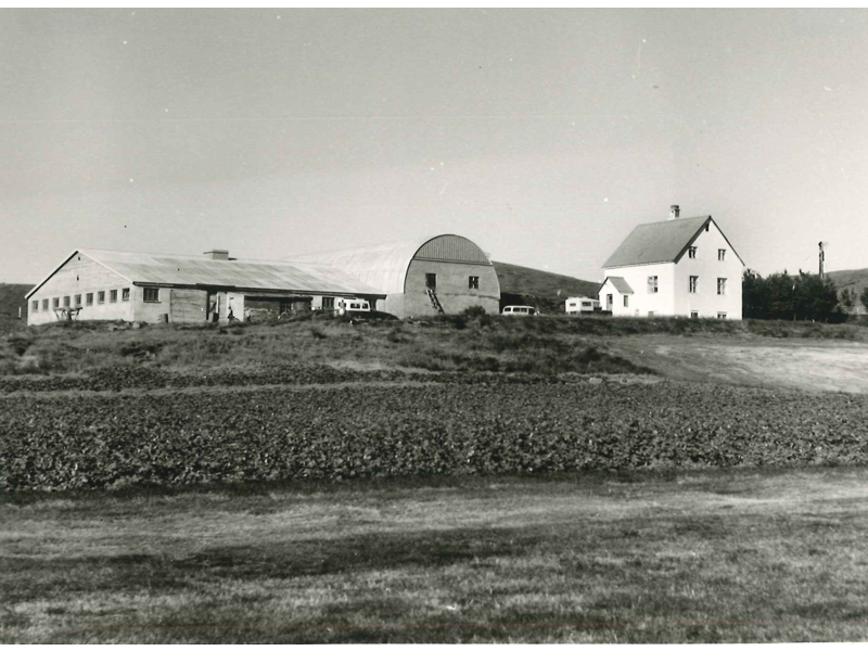 Skoðað í pakkann
