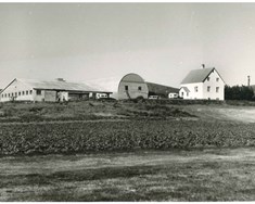 Skoðað í pakkann