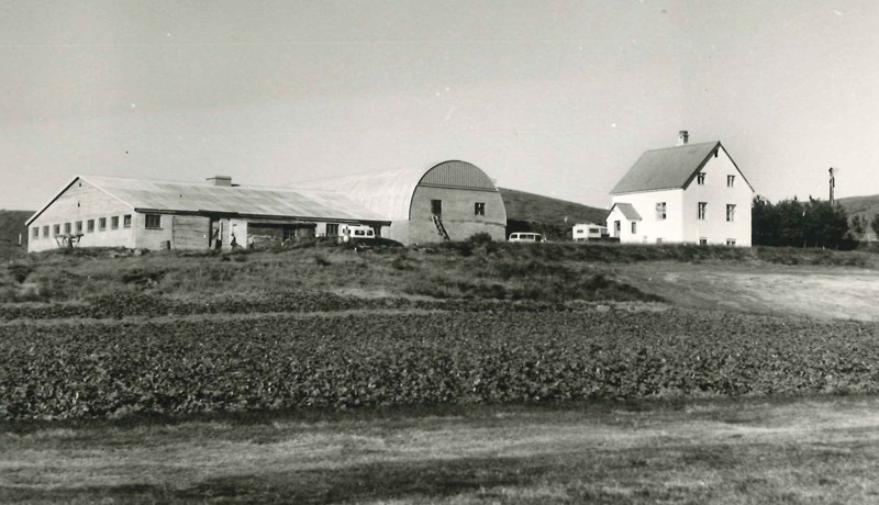 Skoðað í pakkann