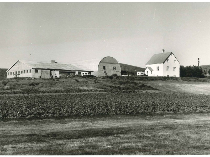 Reykjadalur í Hrunamannahreppi. Með þeim síðustu til að þjóna staðnum áður en sóknin var lögð niður árið 1809 og lögð undir Hruna var Guðmundur Böðvarsson, faðir Þorleifs Repp.  