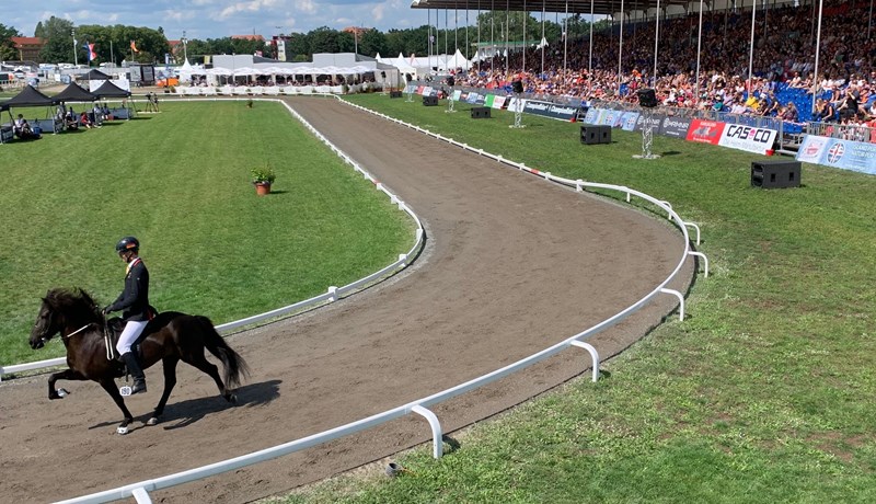 Fyrstu gullin komin í hús hjá Íslendingum á HM