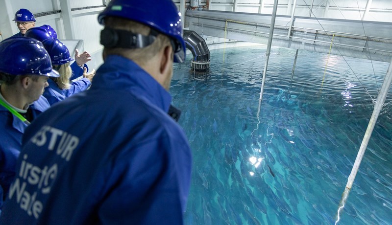 Fjárfest fyrir um 8 milljarða á athafnasvæði First Water