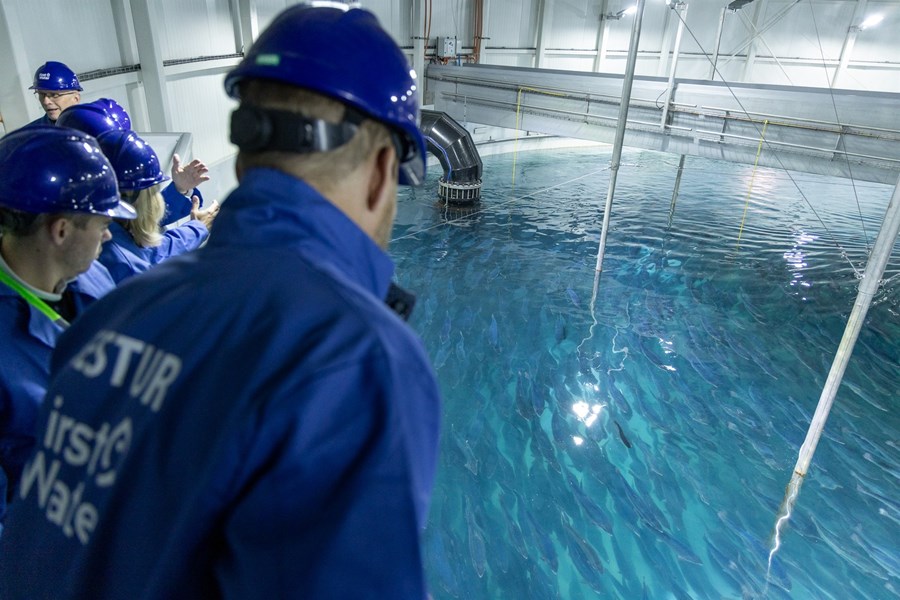Fiskur hefur nú verð settur í þrjá 25 metra áframeldistankana hjá First Water í Þorlákshöfn.