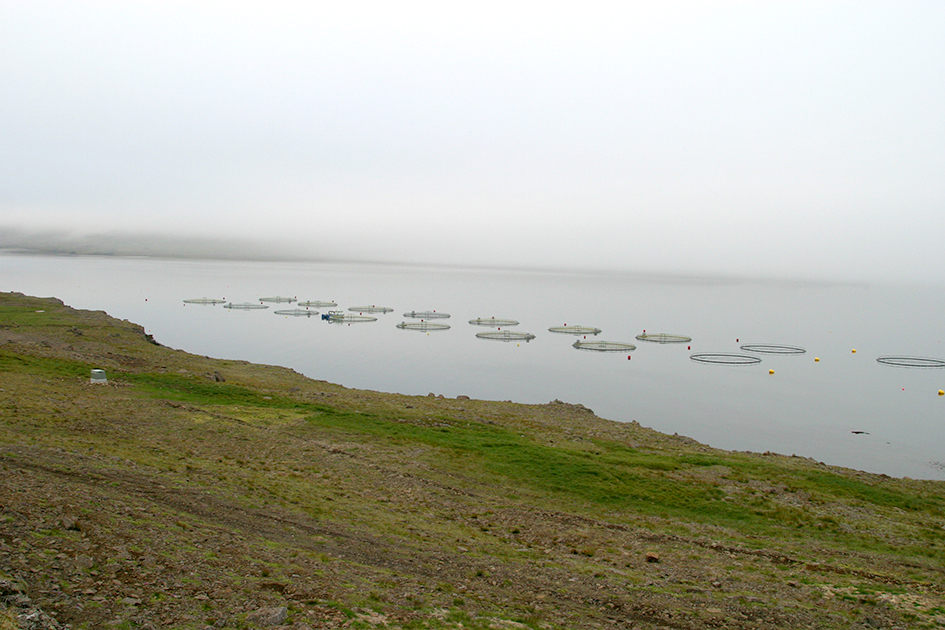 Í fyrsta skipti fjallað sérstaklega um landeldi