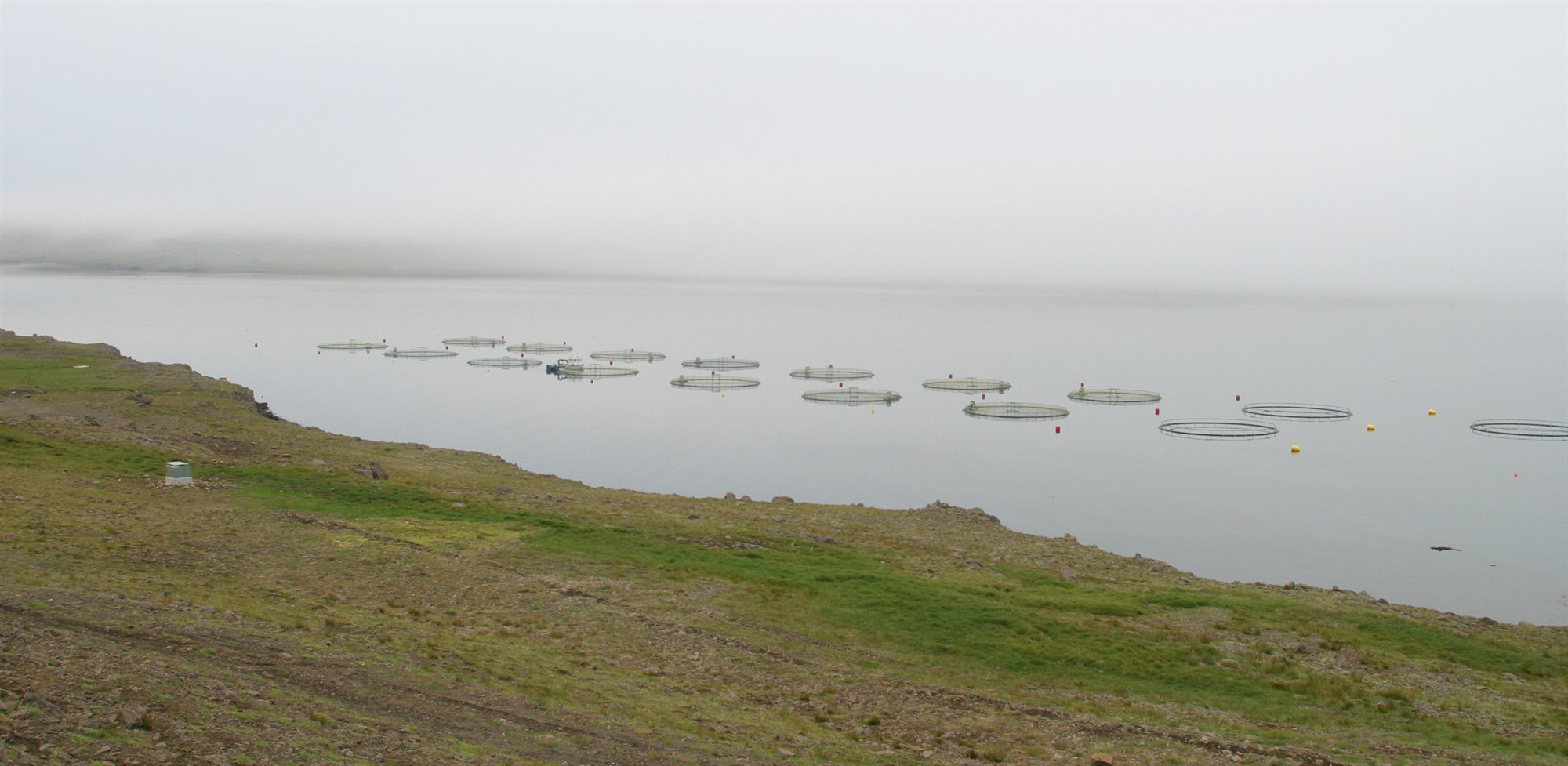 Vilja banna sjókvíaeldi