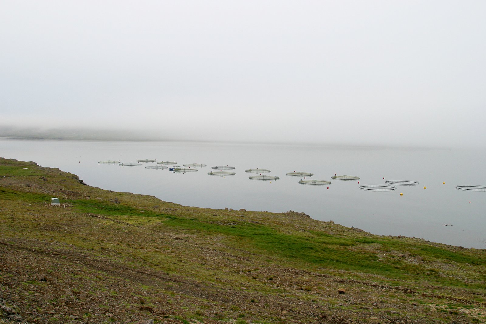 Aðför að íslenskri náttúru og við sofum værum blundi