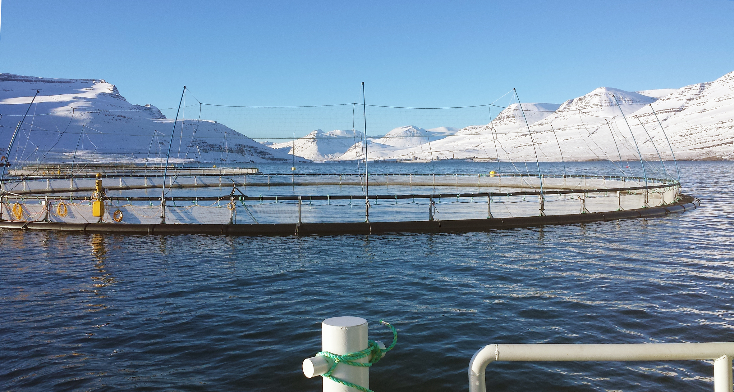 Fiskeldið hefur haldið sjó