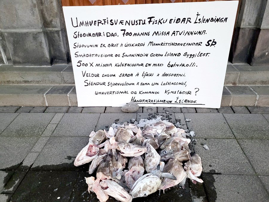 Sturtað var fiskhausum við dyr Alþingishússins til að mótmæla
stöðvun strandveiða.