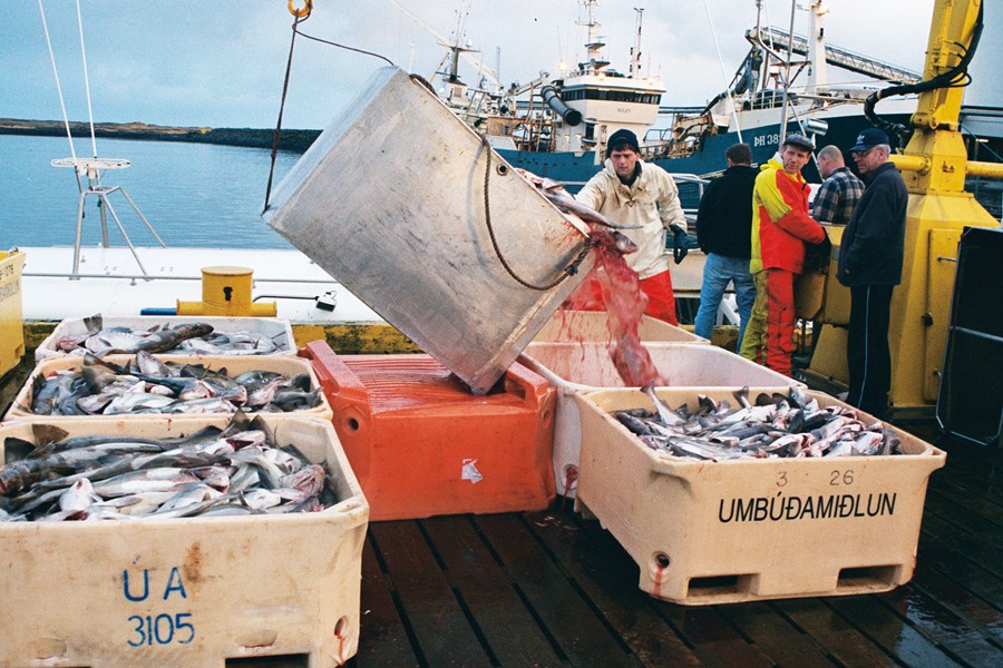 Miklir óvissutímar fram undan