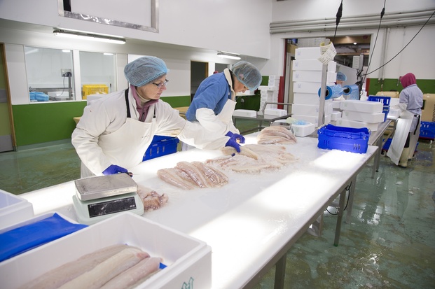 Hringormavandinn fyrr og nú