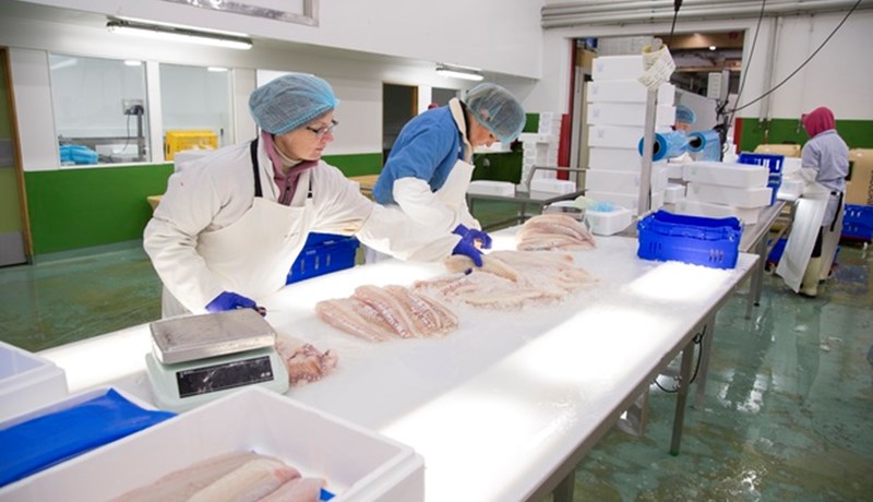 Hringormavandinn fyrr og nú