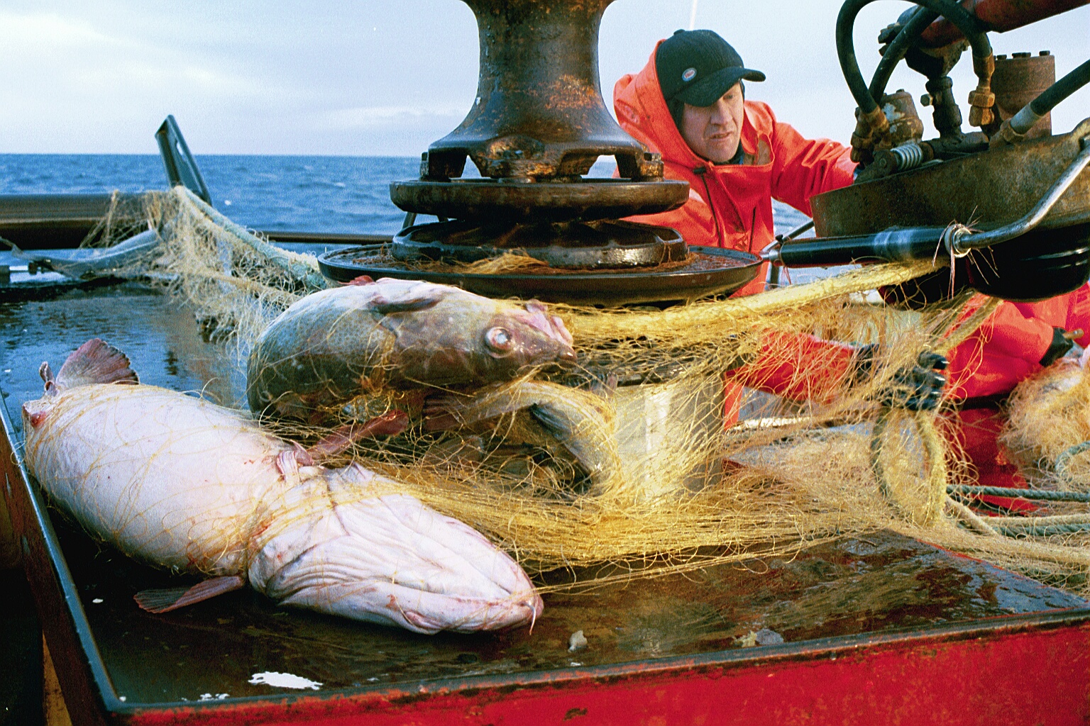 Hvað hefur breyst á 20 árum?