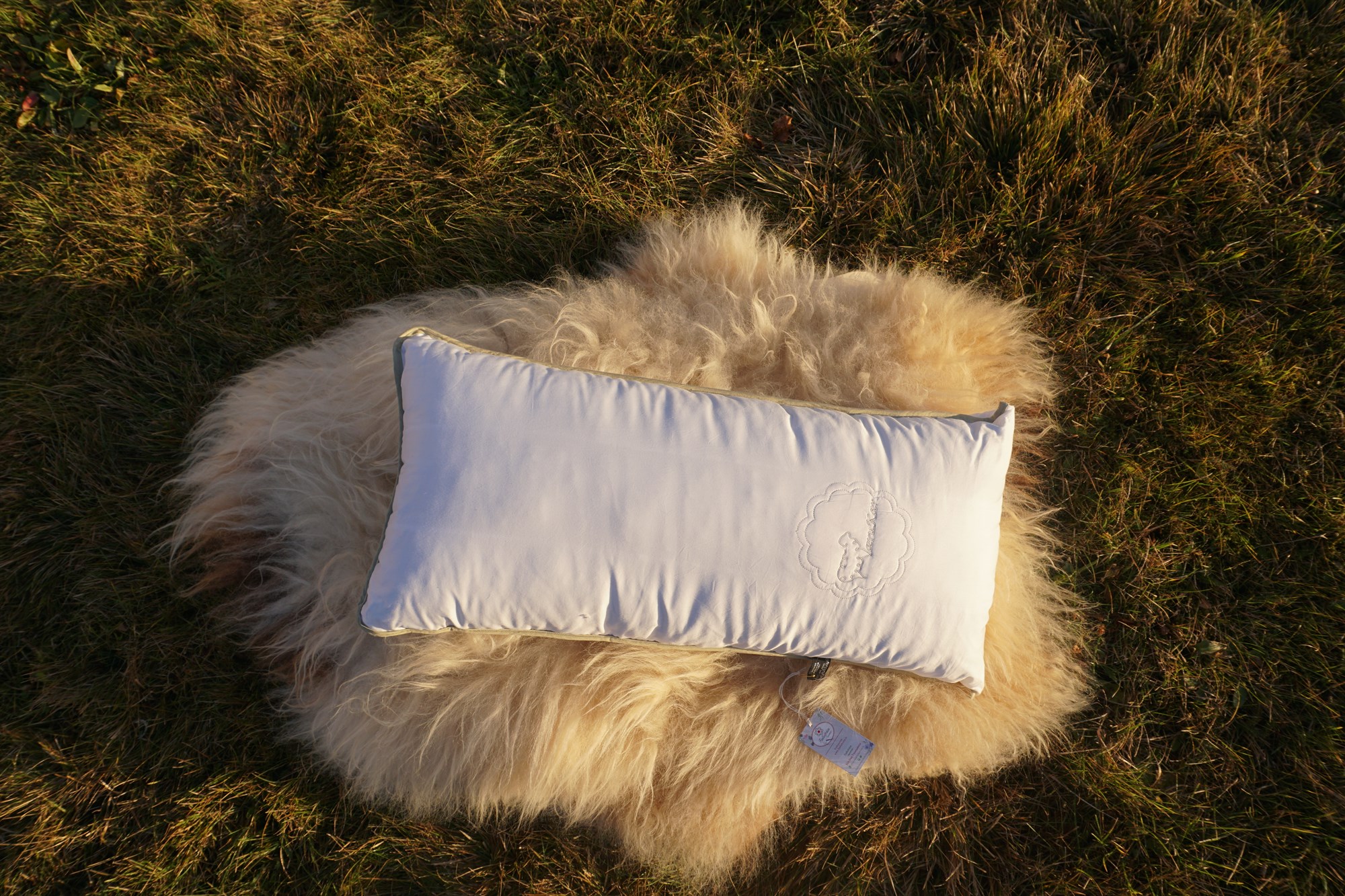 Fjallafrúin gerir það gott