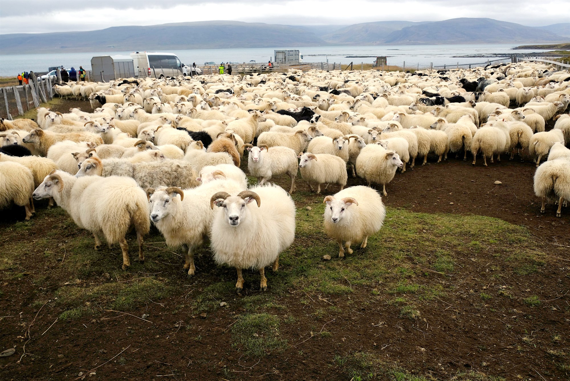 Erfiður áratugur að baki og bjartari tímar í vændum