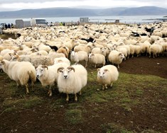 Erfiður áratugur að baki og bjartari tímar í vændum