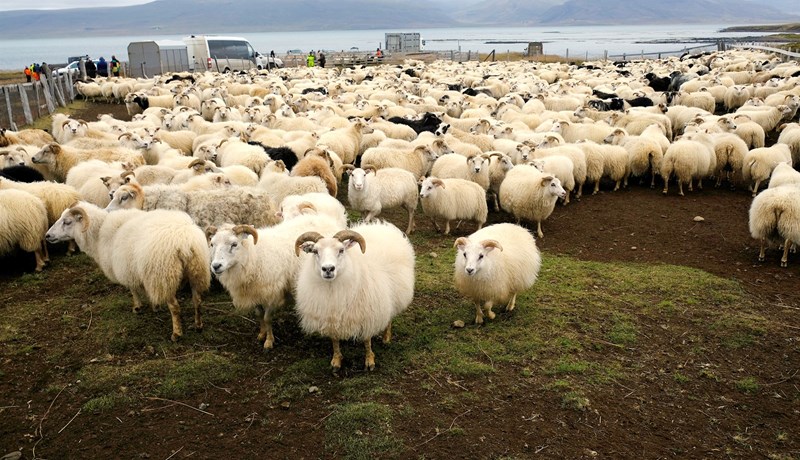 Erfiður áratugur að baki og bjartari tímar í vændum