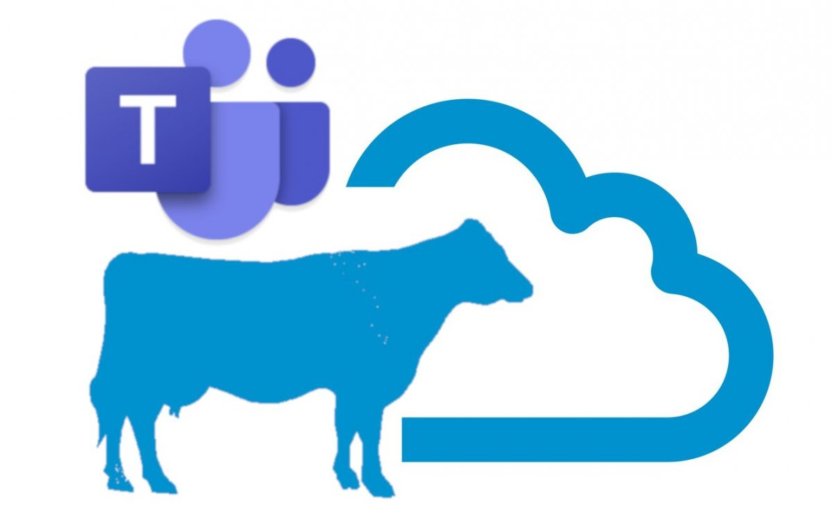 Fjarfundir fyrir k&#250;ab&#230;ndur hj&#225; RML