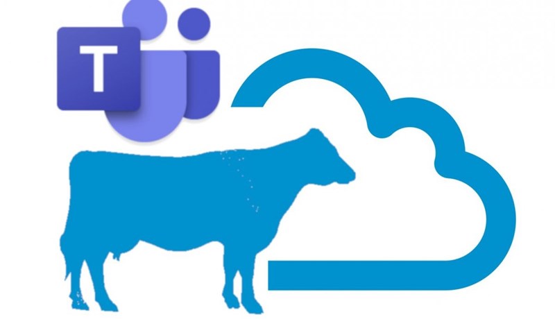 Fjarfundir fyrir kúabændur hjá RML