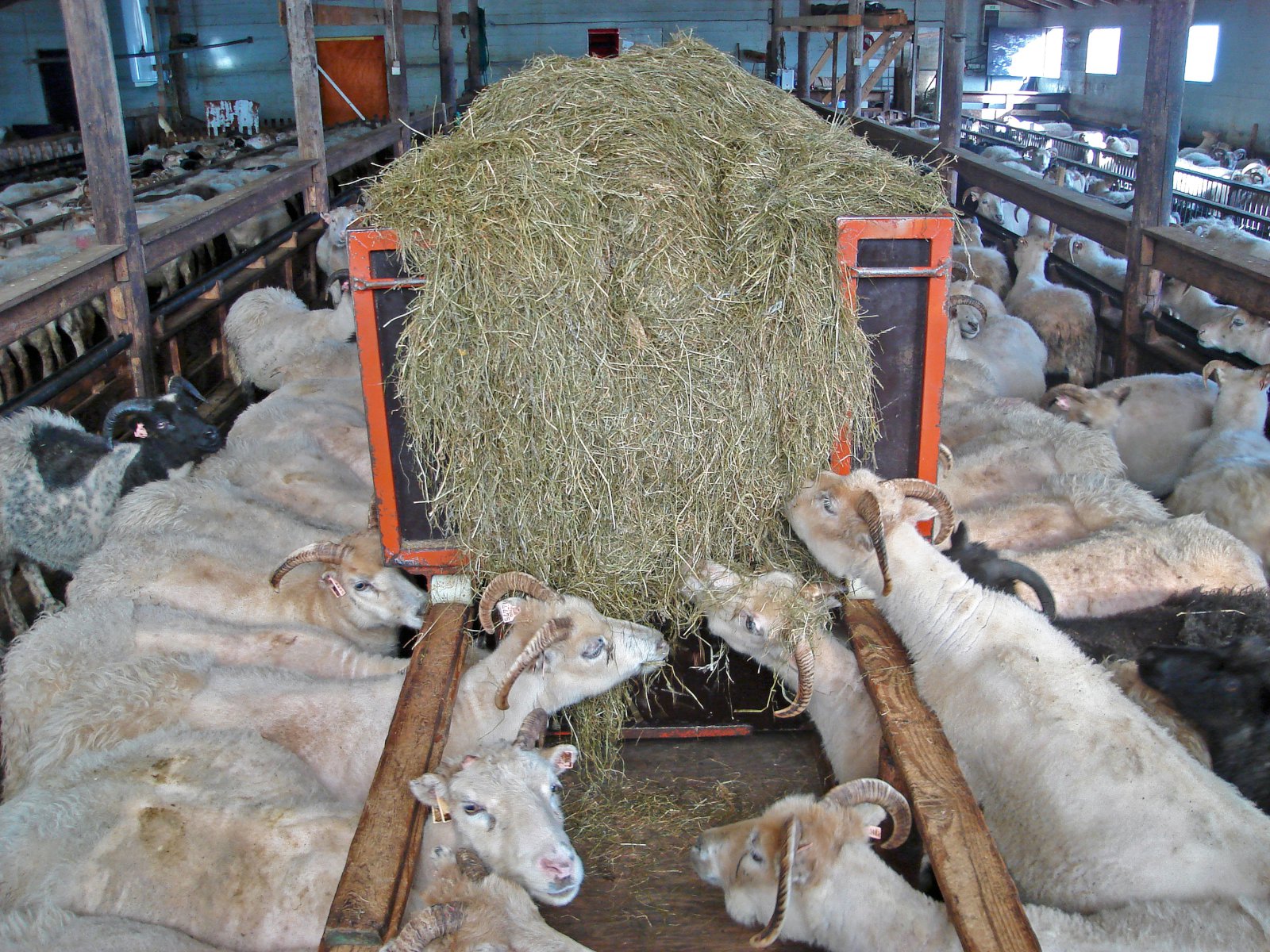 Opið bréf til Davíðs Herbertssonar