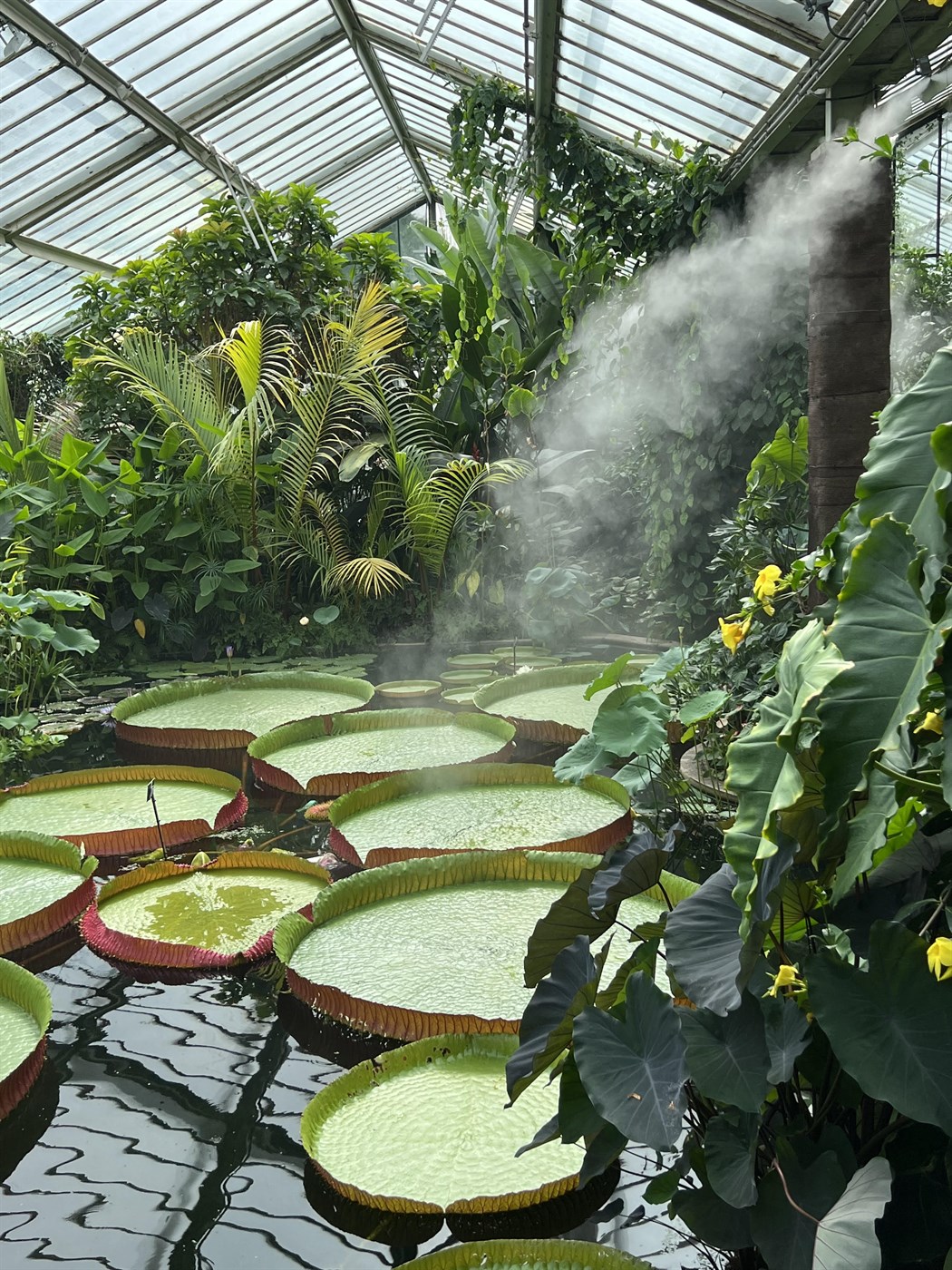 Lauf í vindi & vatni