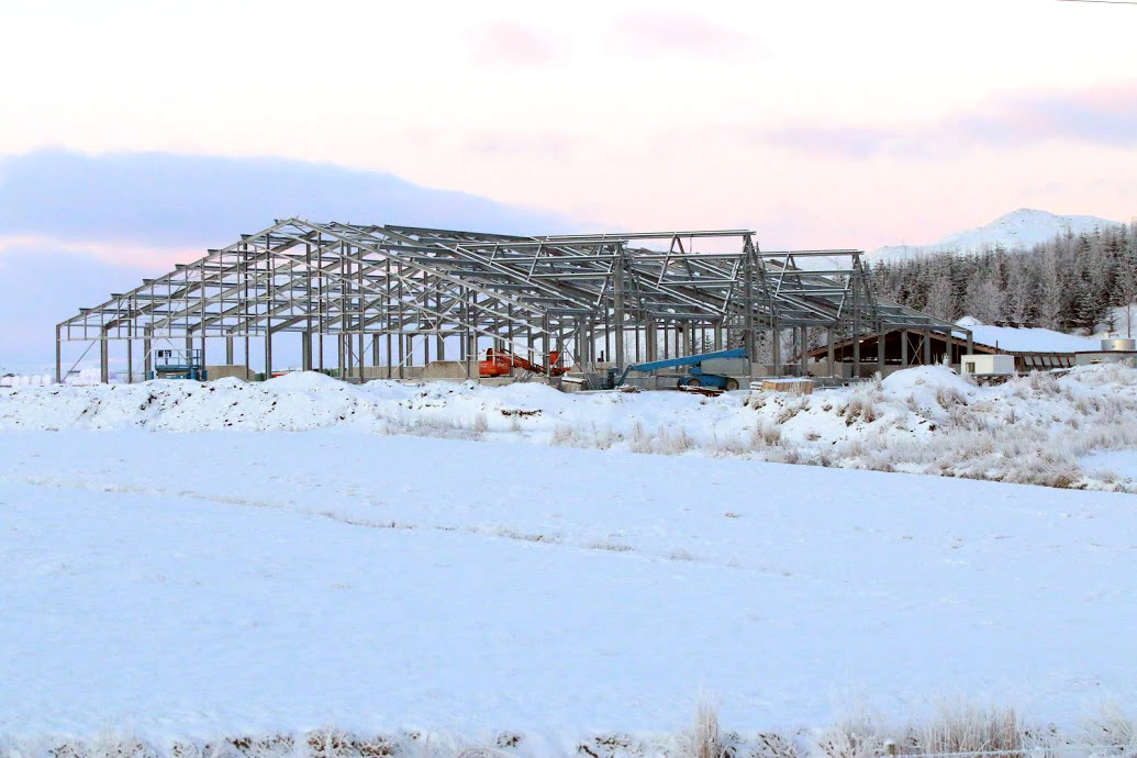 Risafjós í byggingu í Gunnbjarnarholti