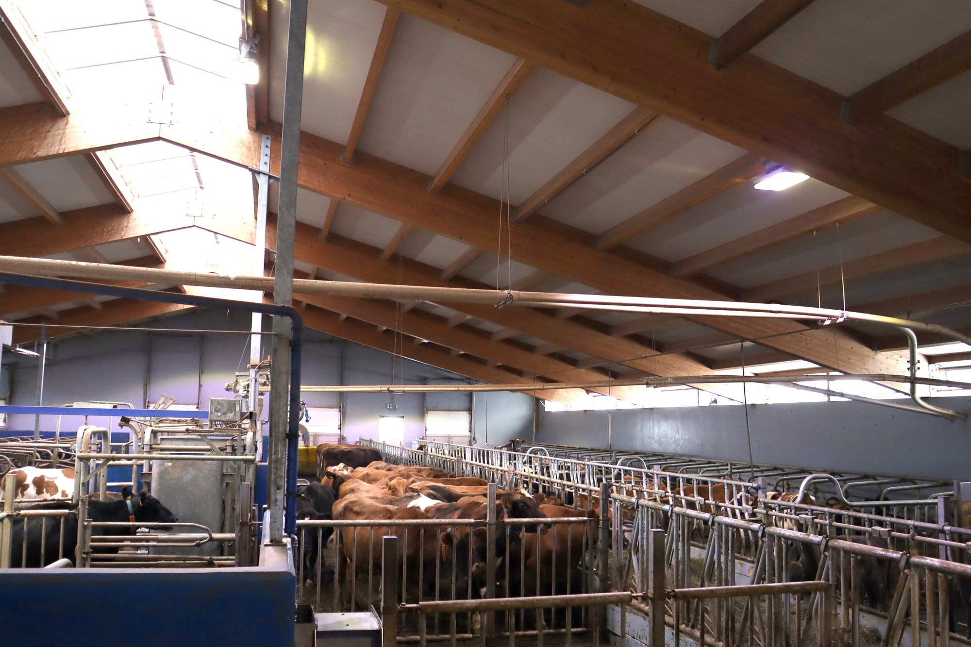 Reynir að standa þetta af sér