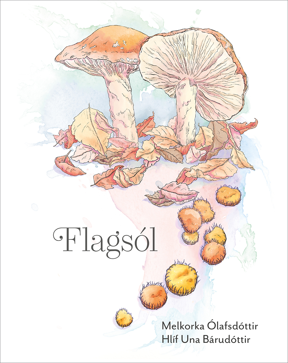 Samlífi sveppaljóða og -teikninga