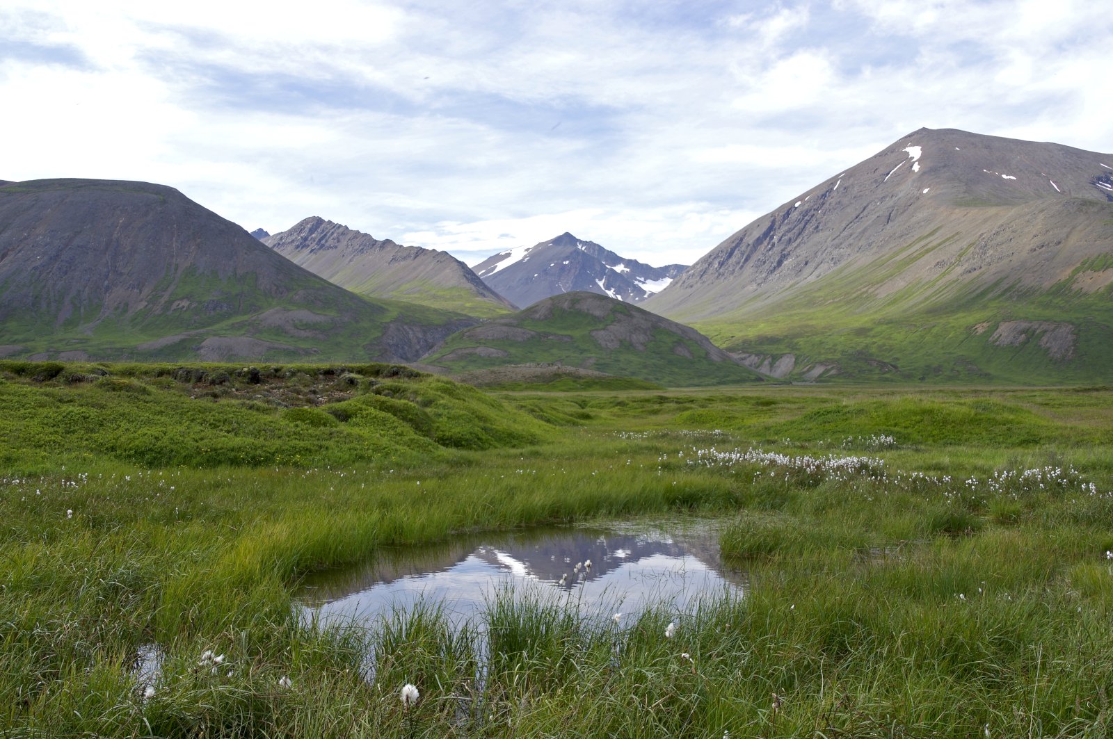 Fullyrðingar hugsanlega stórlega ýktar um stærð mýra og losun á koltvísýringi