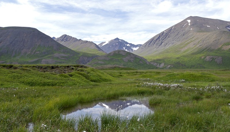 Fullyrðingar hugsanlega stórlega ýktar um stærð mýra og losun á koltvísýringi