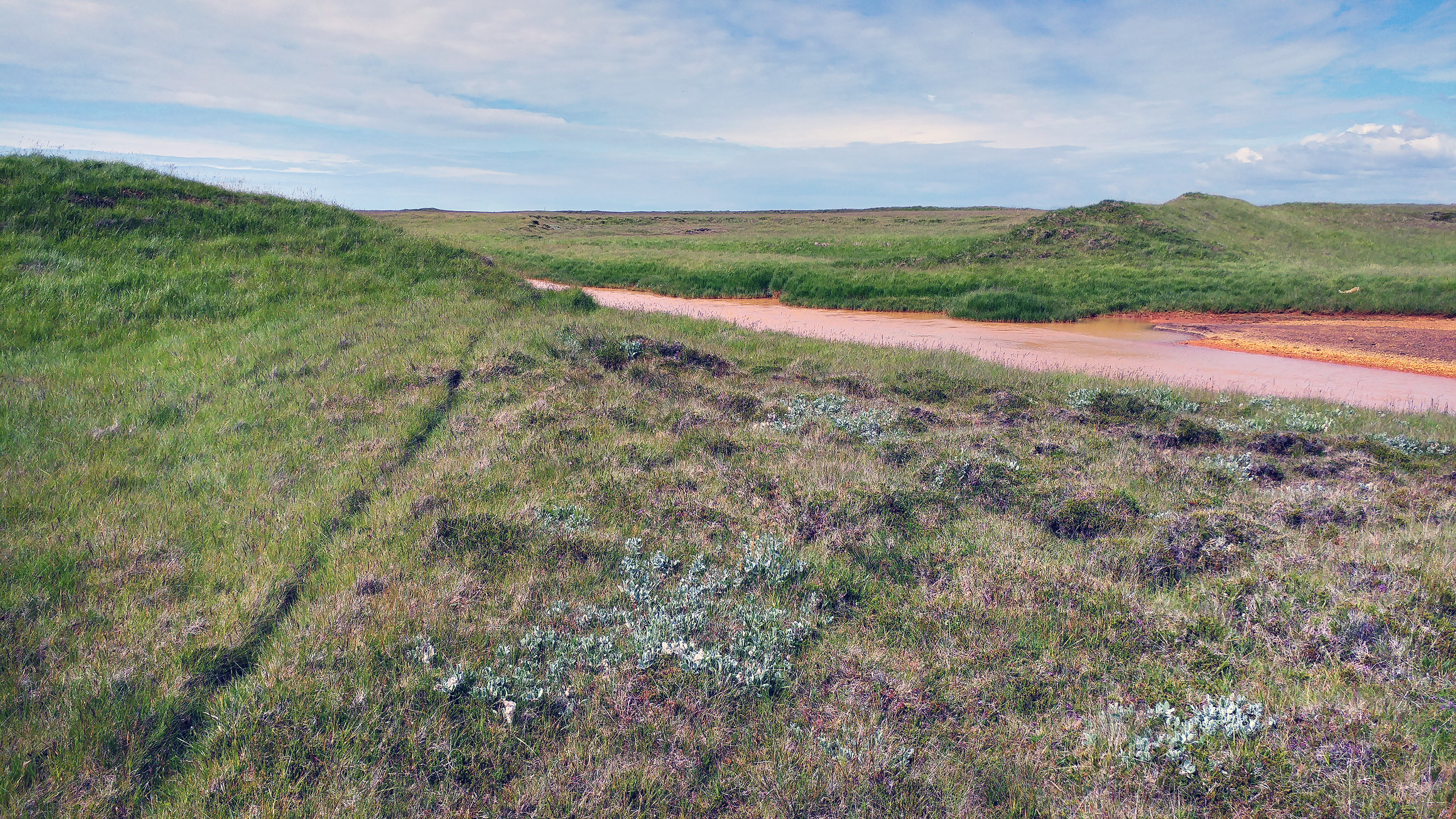Áveitur í Vestur-Landeyjum fyrri hluta 20. aldar