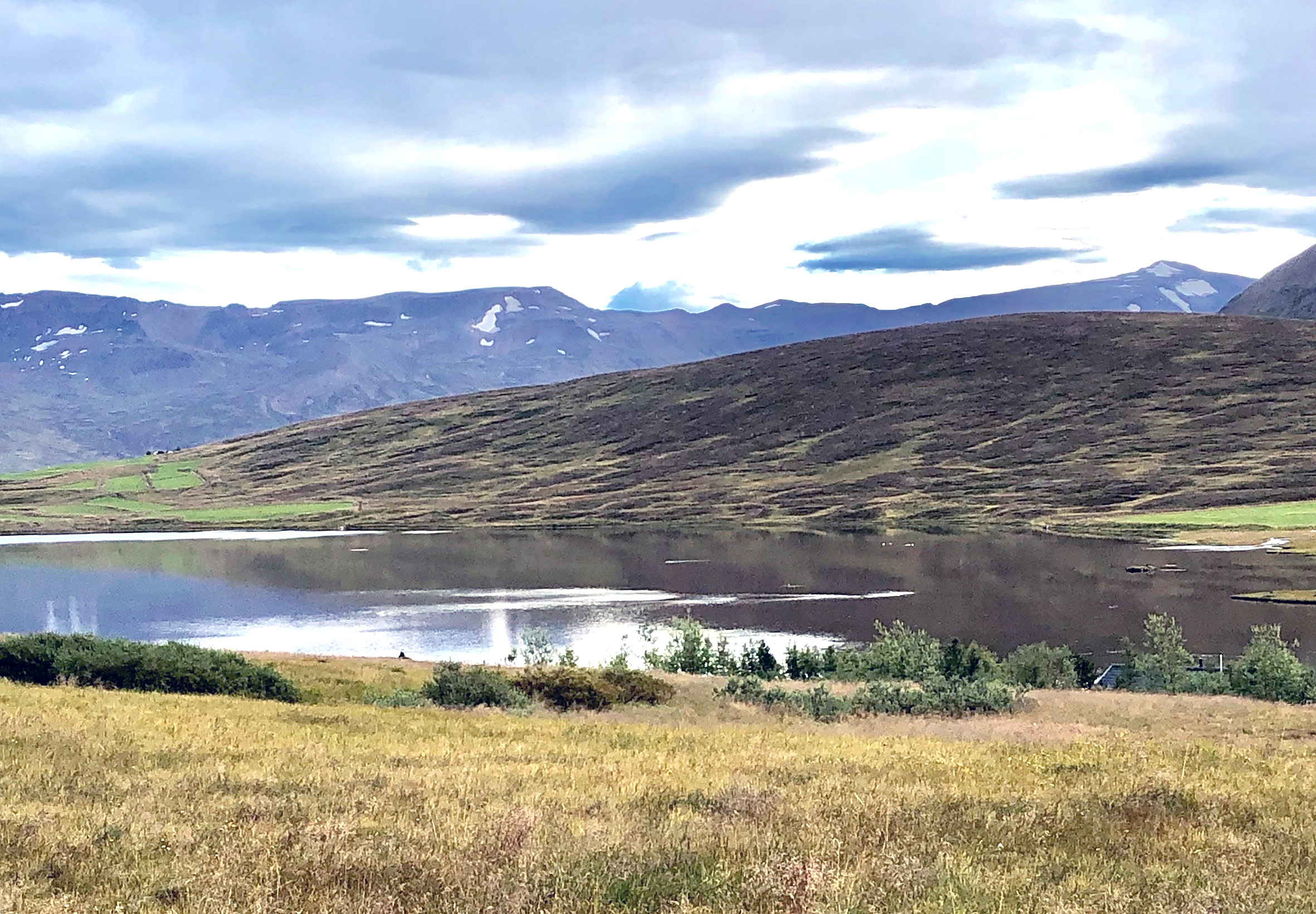 Mikið af bleikju í Flókadalsá í Fljótum
