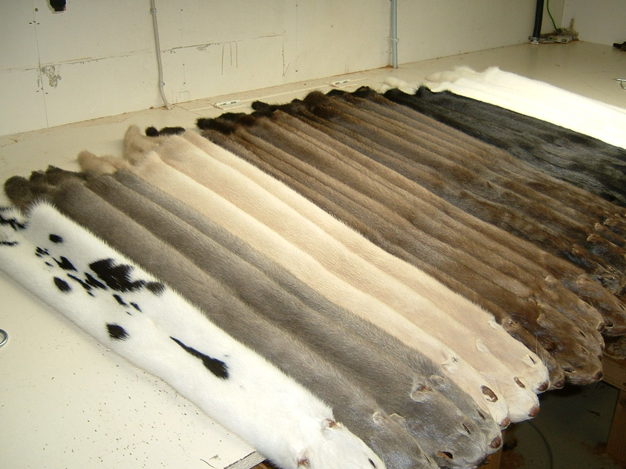 Á flestan hátt jákvætt