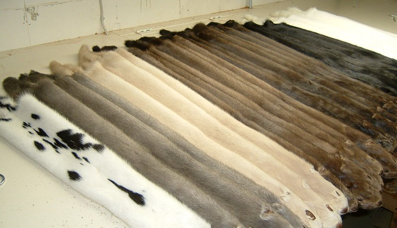 Á flestan hátt jákvætt