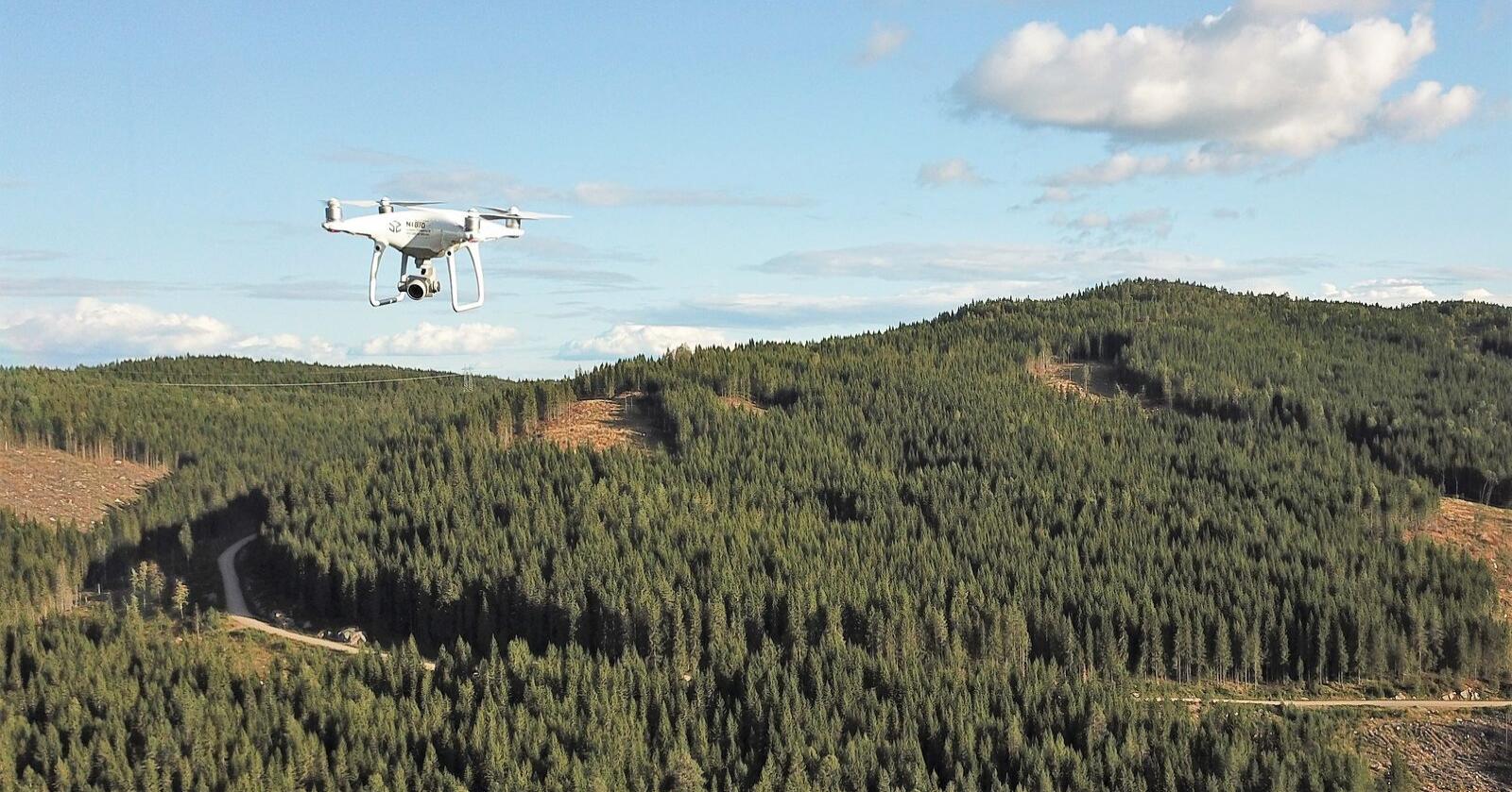 Norðmenn nota flygildi til að hámarka skógræktina