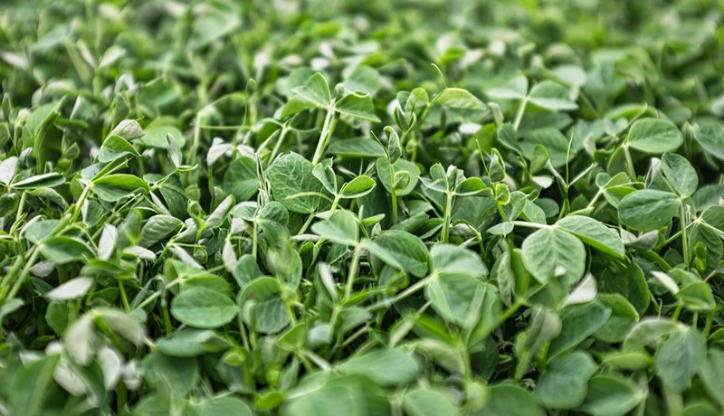 Verðlækkun á erlendum hrávörumörkuðum