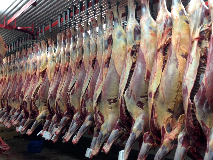 Undanþágan beint til Hæstaréttar