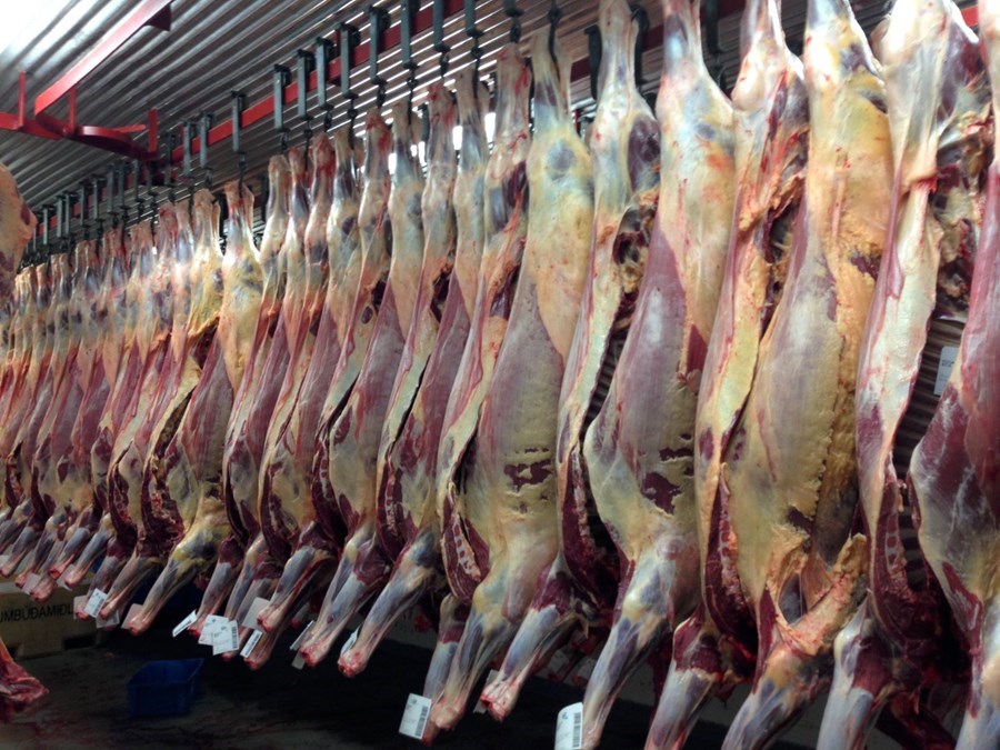 Mikil óvissa er uppi um framhald hagræðingar á fyrirkomulagi slátrunar og kjötvinnslu meðan mál Samkeppniseftirlitsins og Innnes ehf. fer í gegnum dómstóla.