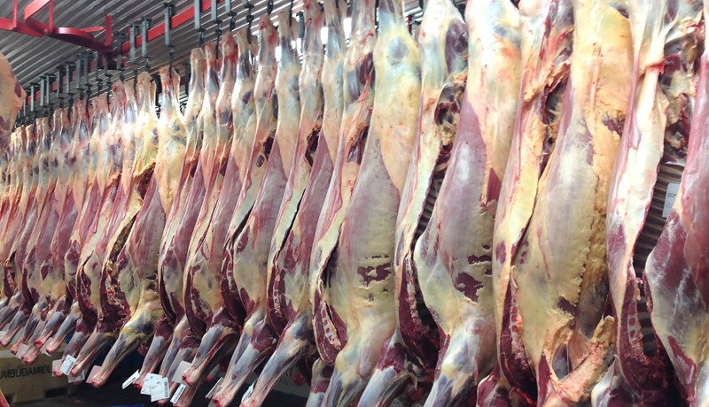 Staðfest gæði folaldakjötsins