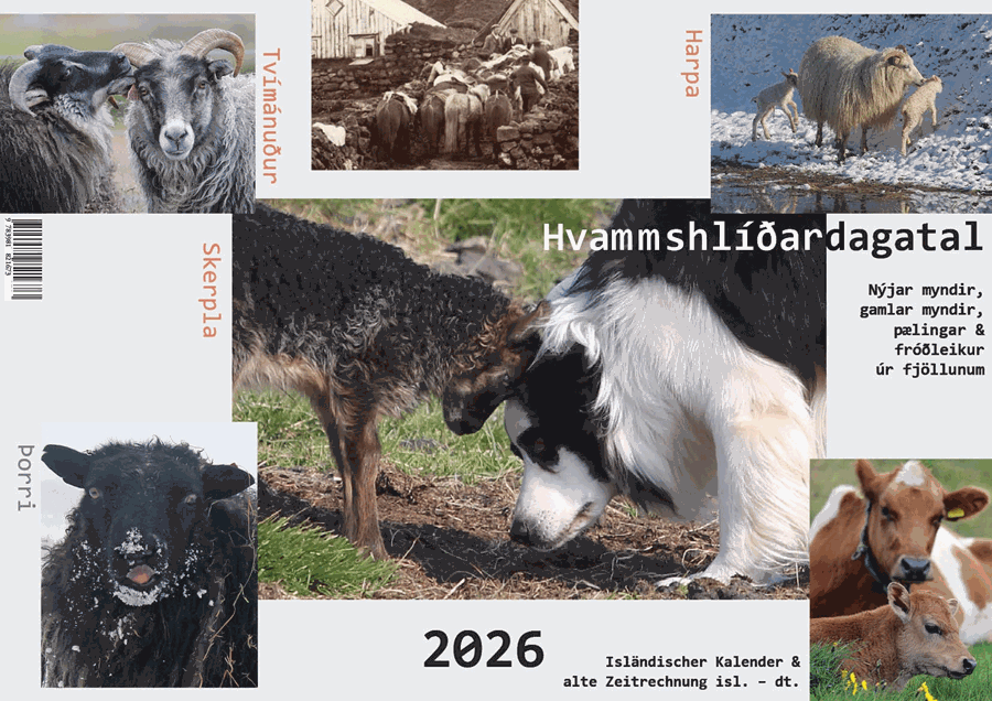 Hvammshlíðardagatalið 2026. 