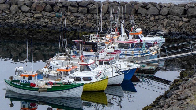 Innsýn í smábátaútgerðina