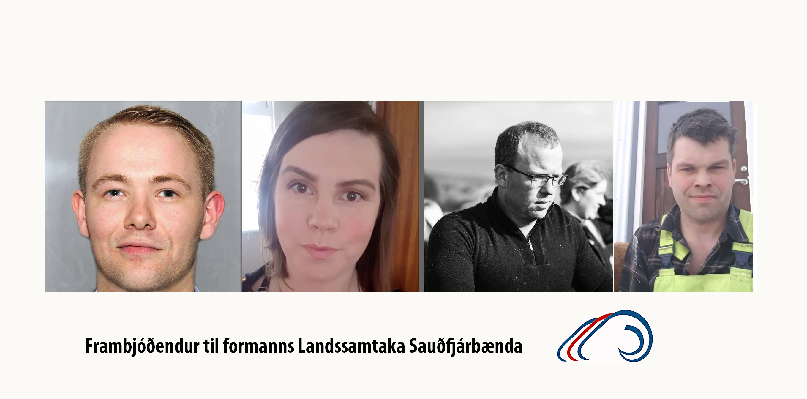 Fjórir lýsa yfir framboði til formanns Landssamtaka sauðfjárbænda - uppfært